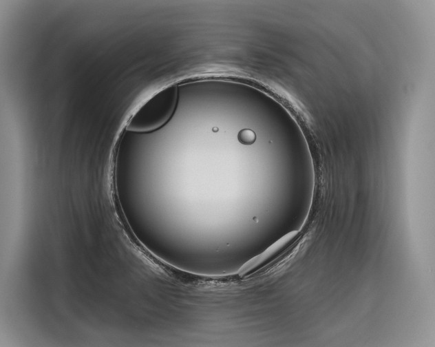 X0000116871374200912221357