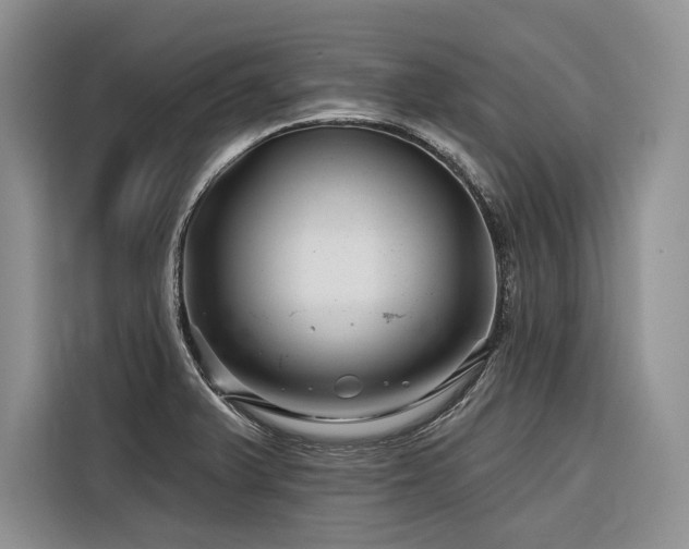 X0000116871375200912221357