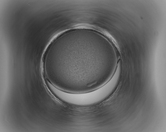 X0000116871376200912221357