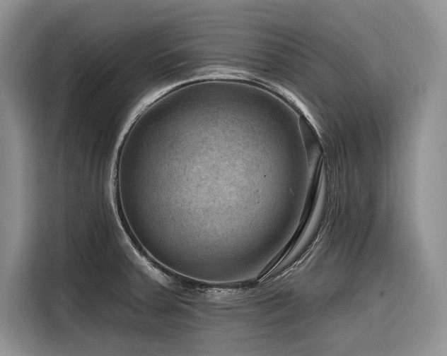 X0000116871379200912221357