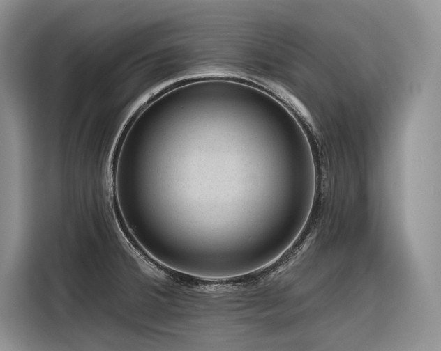 X0000116871380200912221357