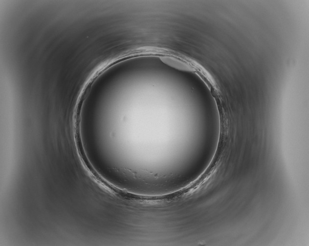 X0000116871381200912221357