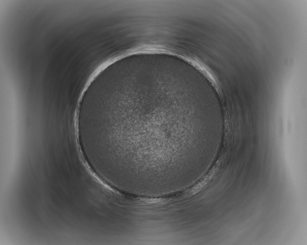 X0000116871382200912221357
