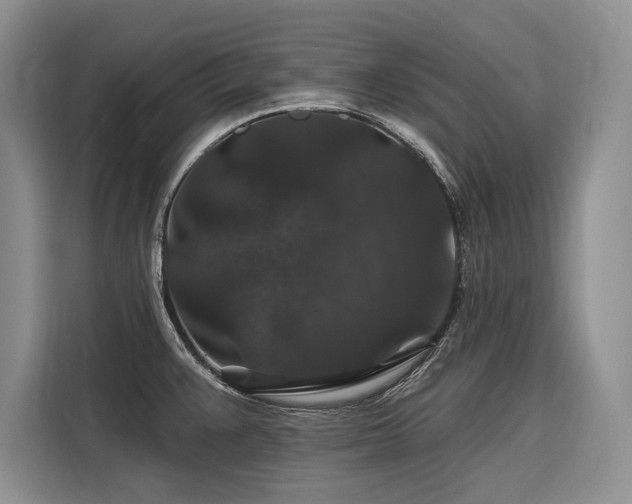 X0000116871383200912221357