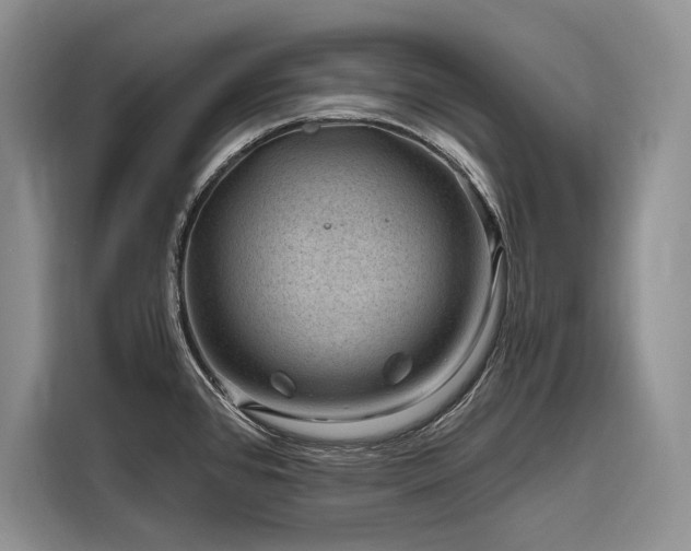 X0000116871384200912221357