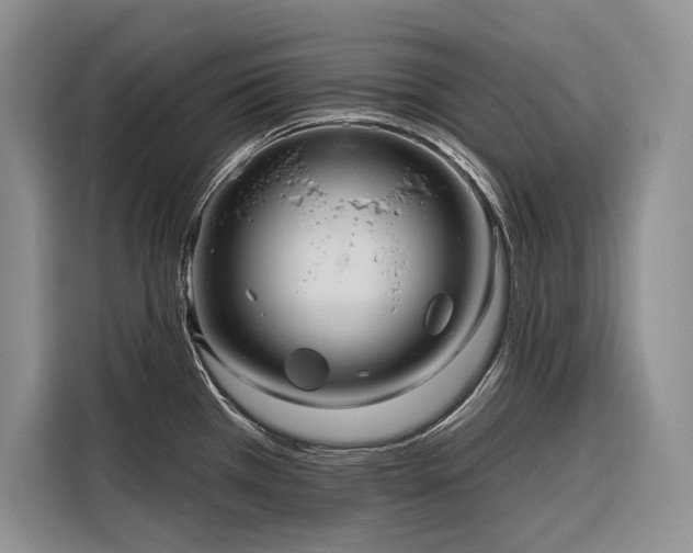 X0000116871385200912221357