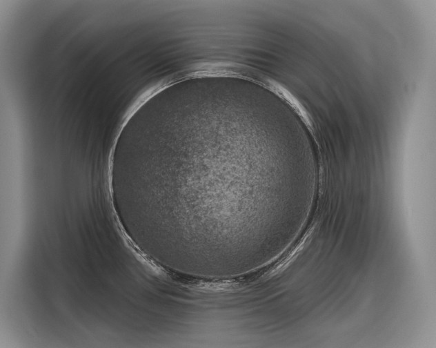 X0000116871386200912221357