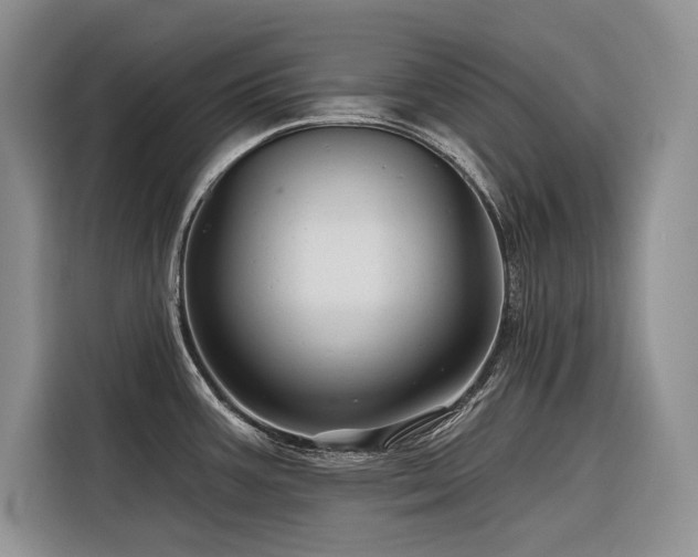 X0000116871387200912221357