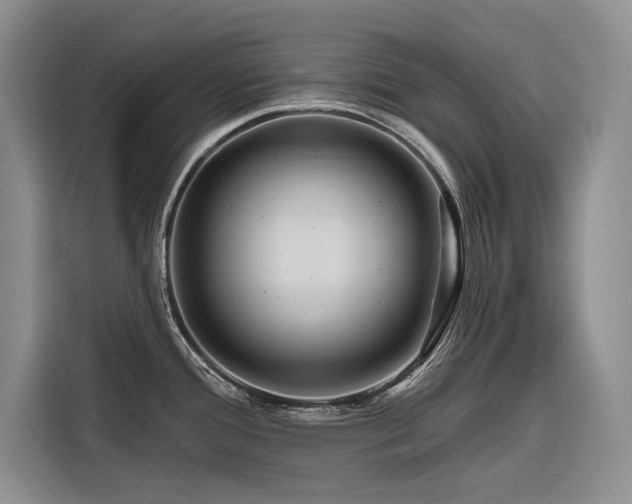 X0000116871388200912221357