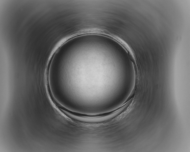X0000116871389200912221357