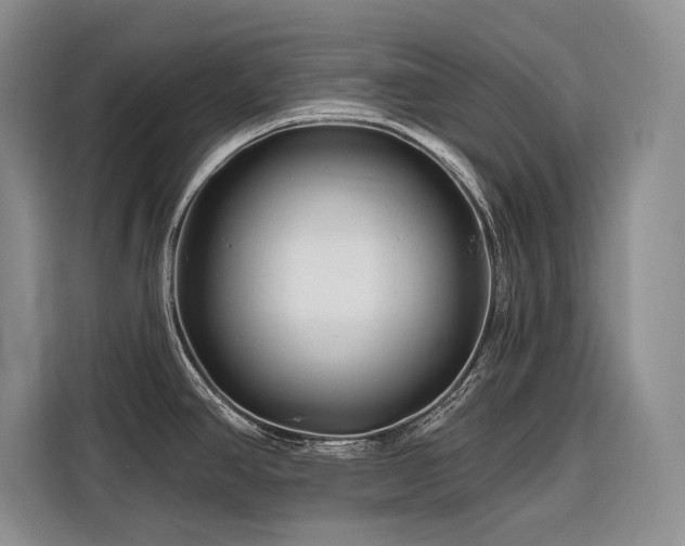 X0000116871390200912221357