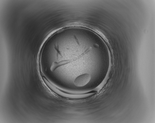 X0000116871392200912221357