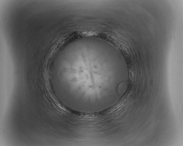 X0000116871393200912221356