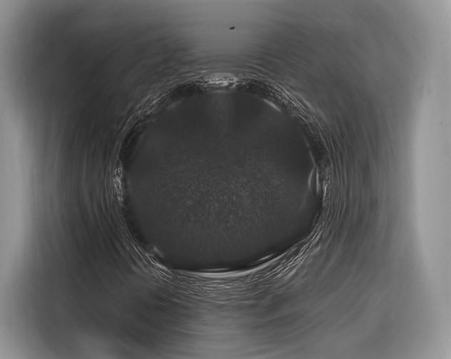X0000116871394200912221356
