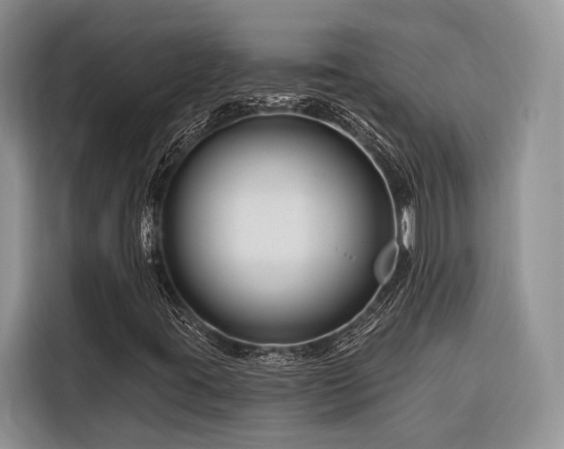 X0000116871395200912221356