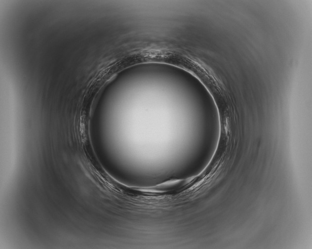 X0000116871396200912221356