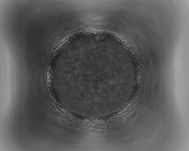 X0000116871397200912221356