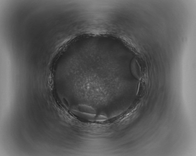 X0000116871398200912221356