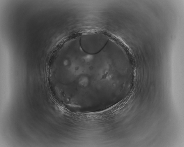 X0000116871399200912221356