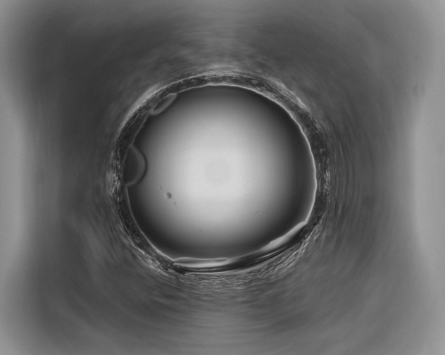 X0000116871400200912221356