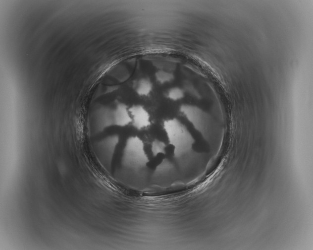X0000116871401200912221356