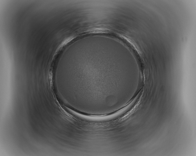 X0000116871402200912221356