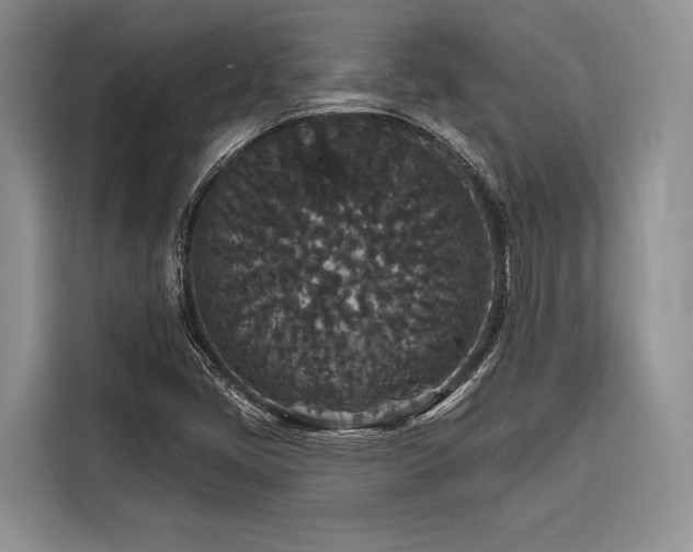 X0000116871405200912221356