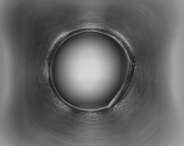 X0000116871408200912221356