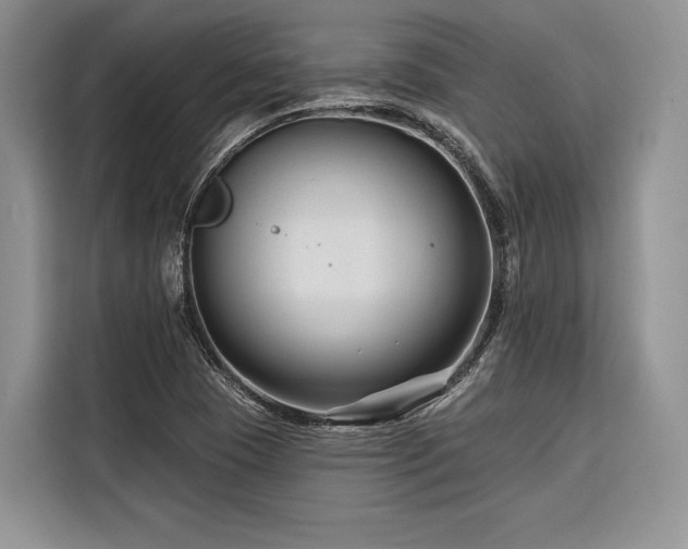 X0000116871409200912221356