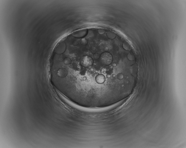 X0000116871411200912221356