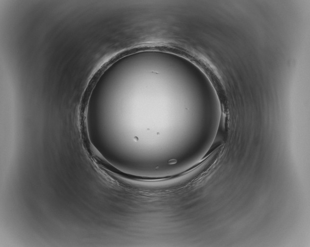 X0000116871412200912221356