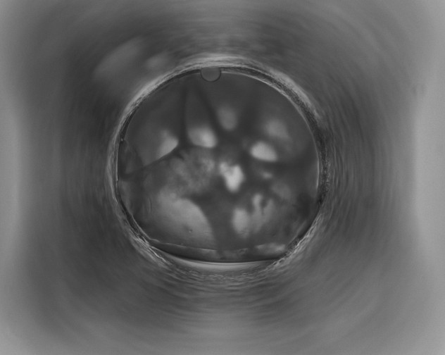 X0000116871413200912221357