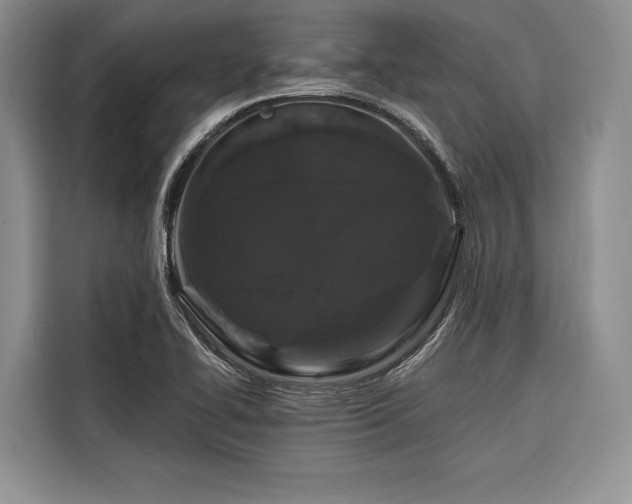 X0000116871414200912221357