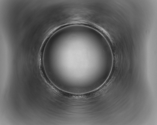 X0000116871415200912221357