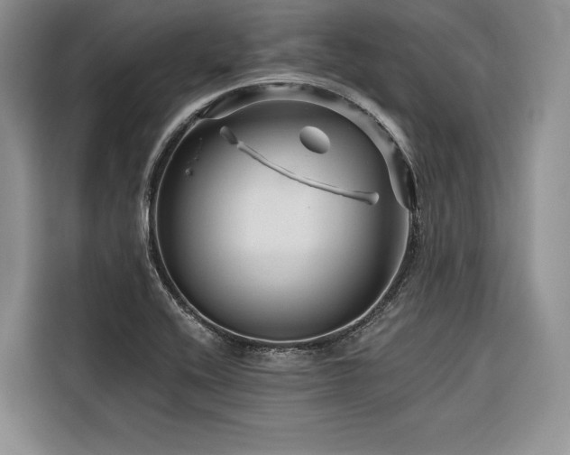 X0000116871416200912221357