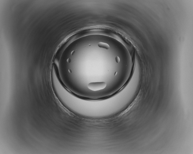 X0000116871417200912221357