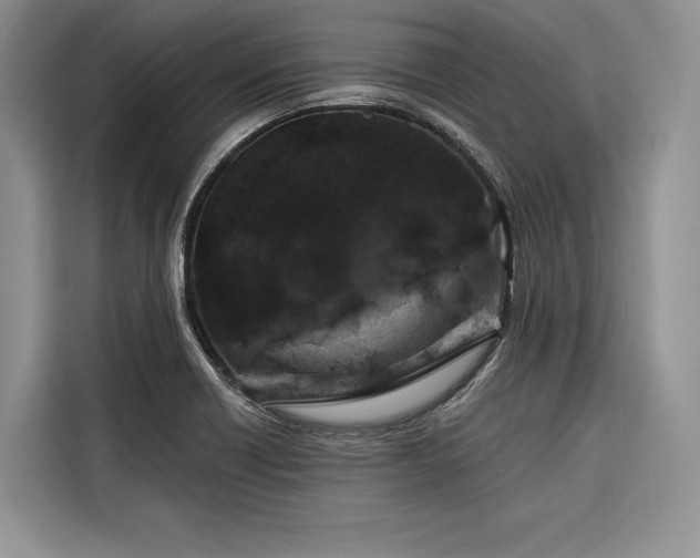 X0000116871418200912221357