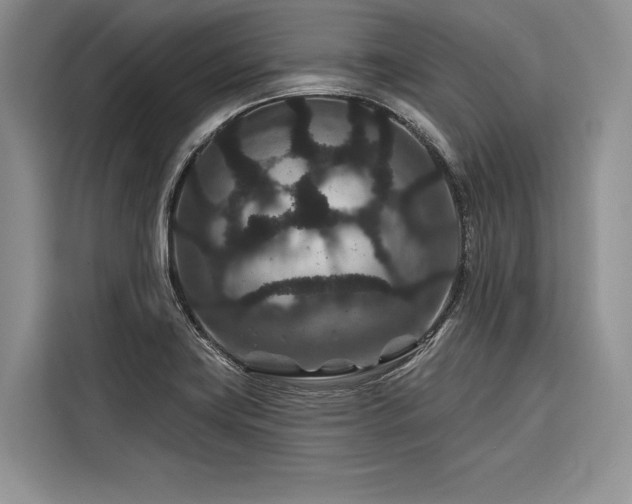 X0000116871419200912221357