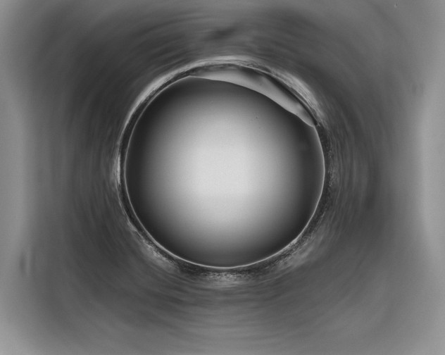 X0000116871420200912221357