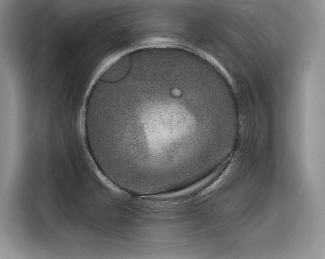 X0000116871421200912221357