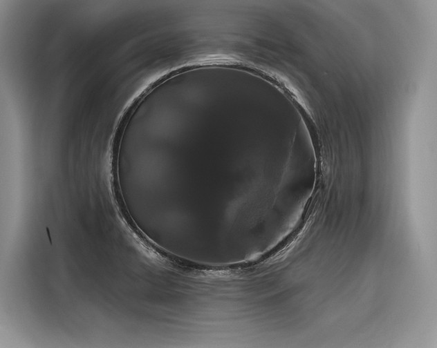 X0000116871422200912221357