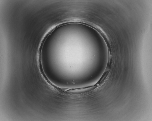 X0000116871424200912221357