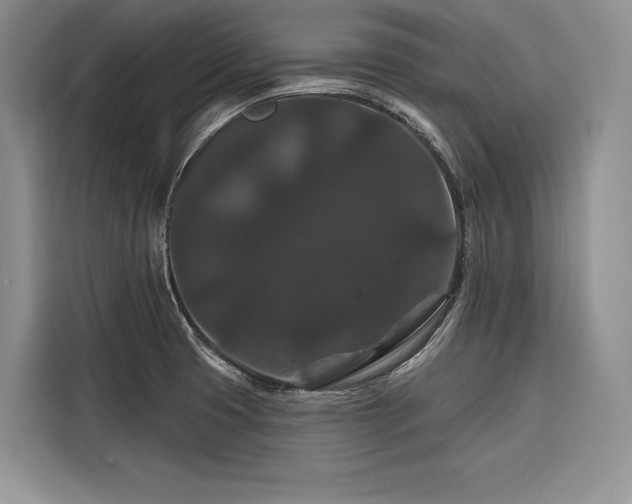 X0000116871425200912221357
