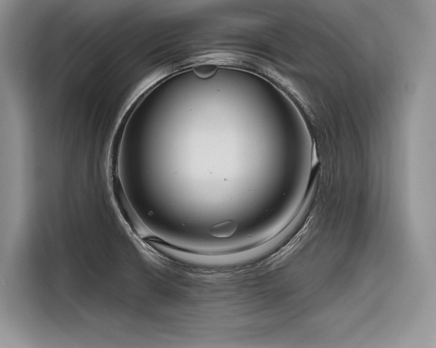 X0000116871426200912221357