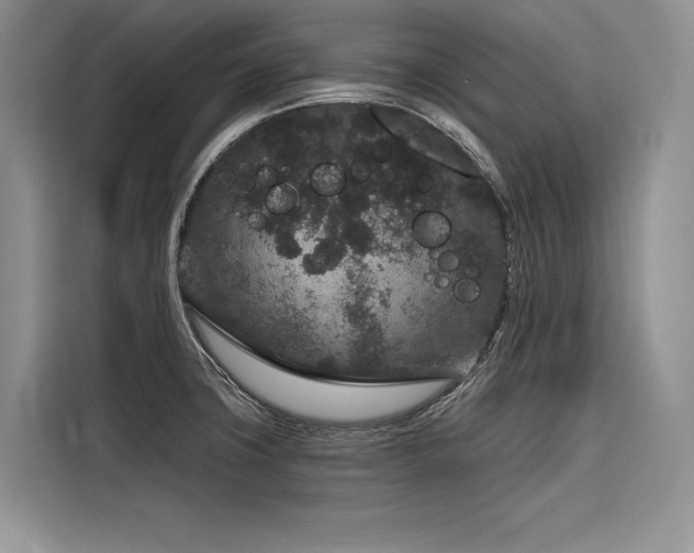 X0000116871427200912221357