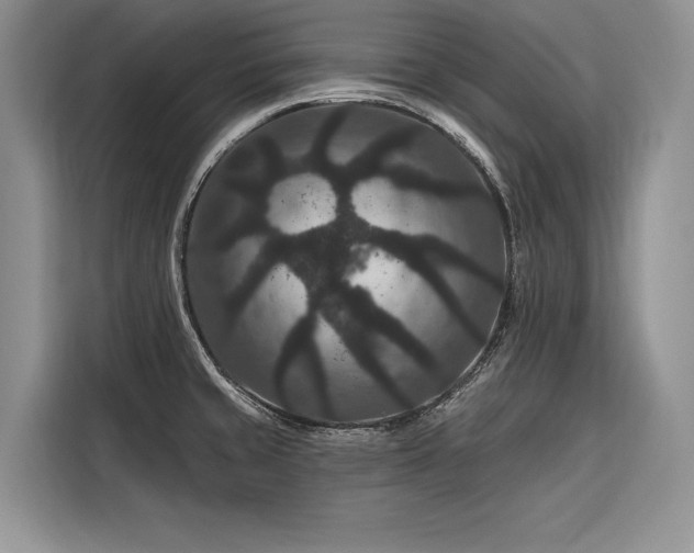 X0000116871429200912221357