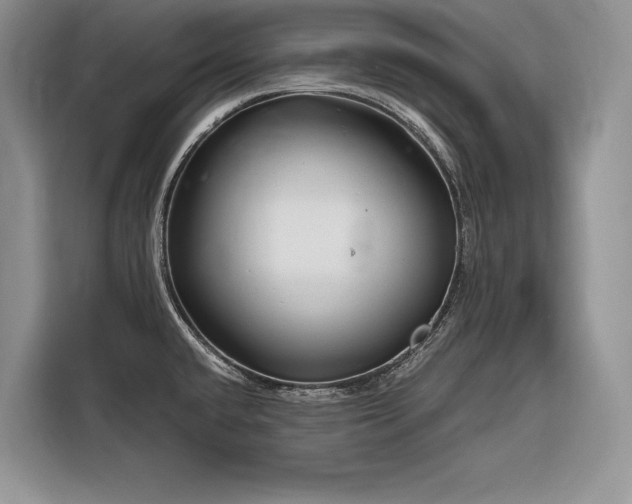 X0000116871432200912221357