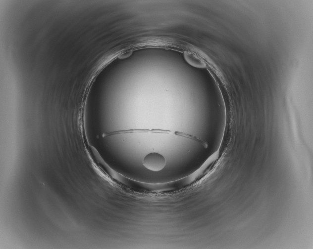 X0000116871433200912221357