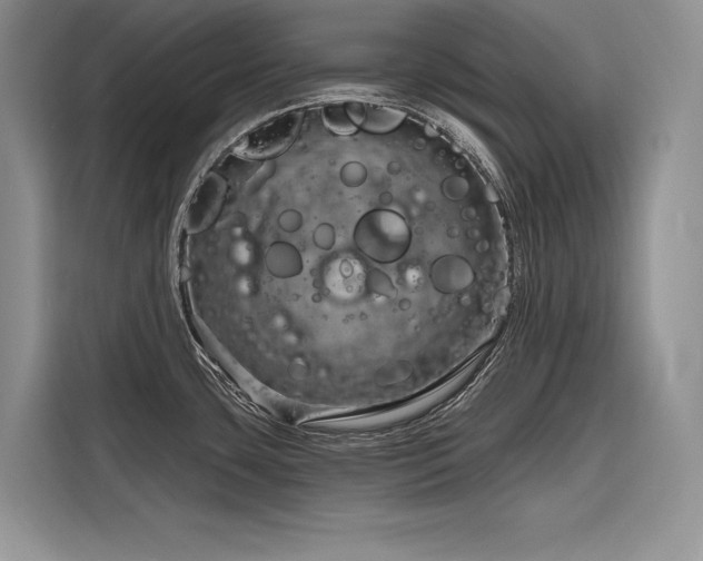 X0000116871435200912221357