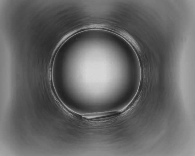 X0000116871436200912221357